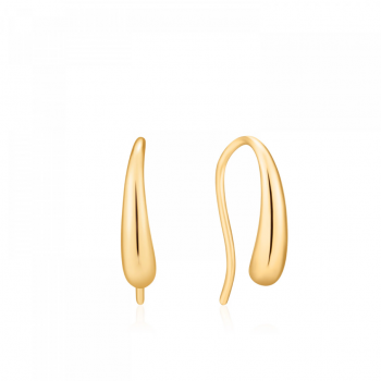 Gold Luxe Hook Earrings