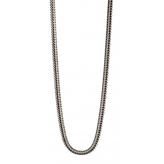 Collier Albany